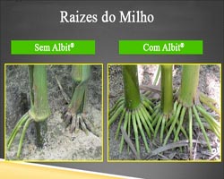 Albit Brasil